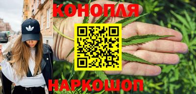 крисы Пыть-Ях