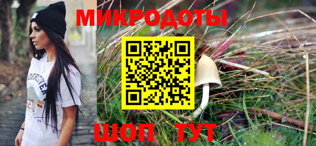 Галлюциногенные грибы Magic Shrooms  Вход с VPN  Прохладный  Галлюциногенные грибы прущие грибы 